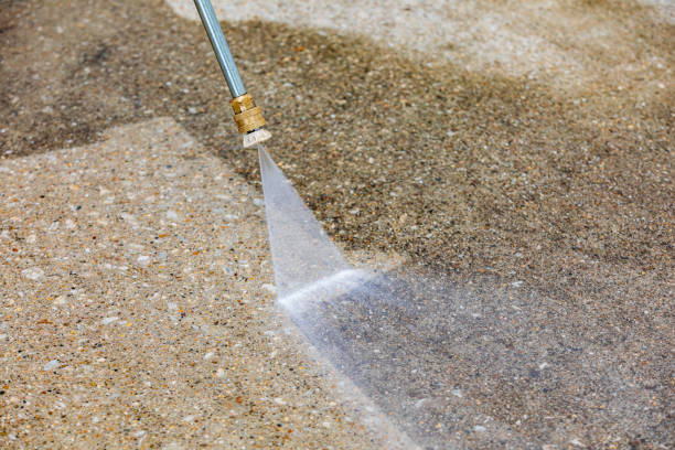 Best Warehouse Cleaning  in Wayne, MI